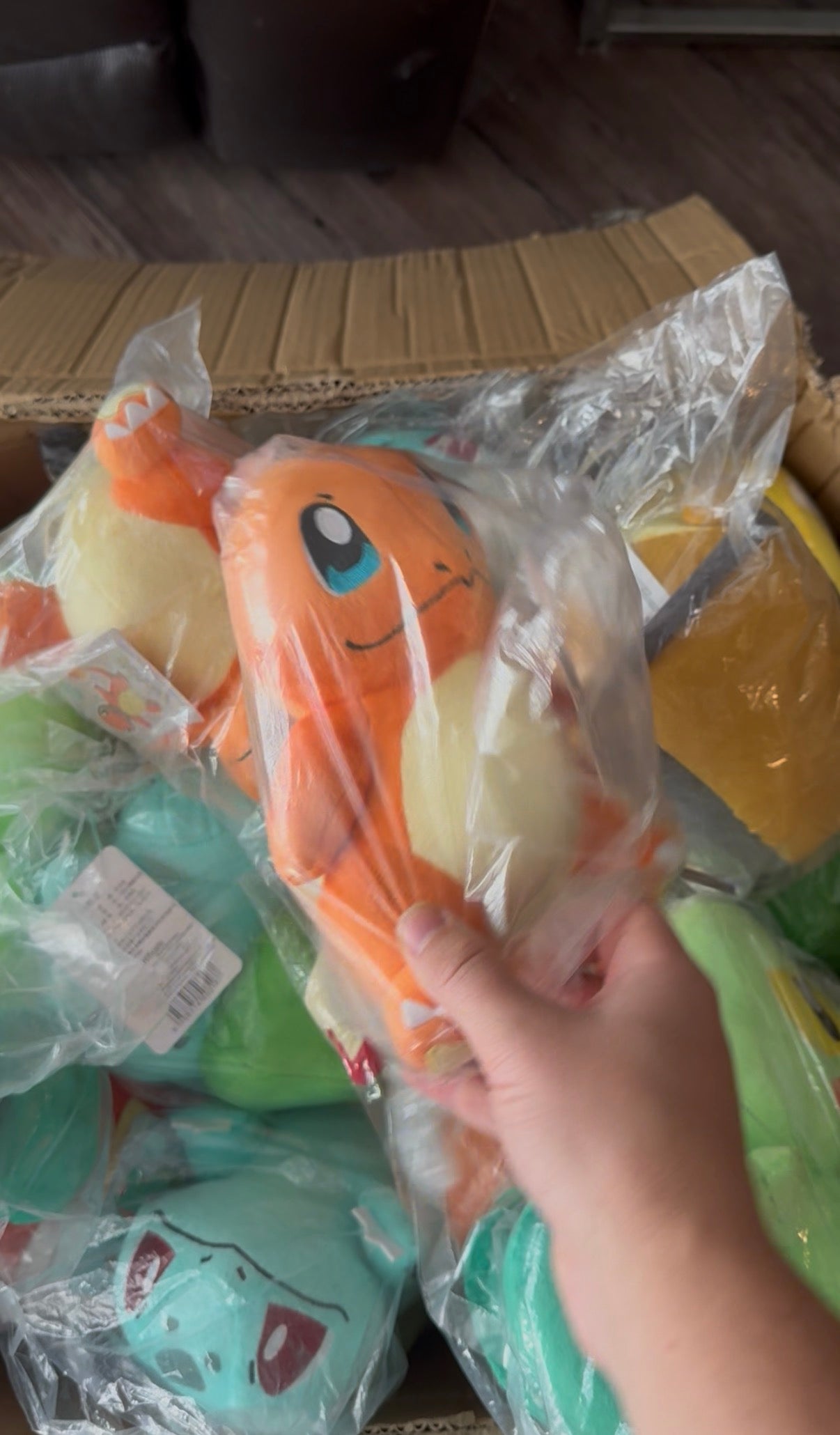 Jake’s Limited Edition Holiday Custom-Made Pokemon Gift Box