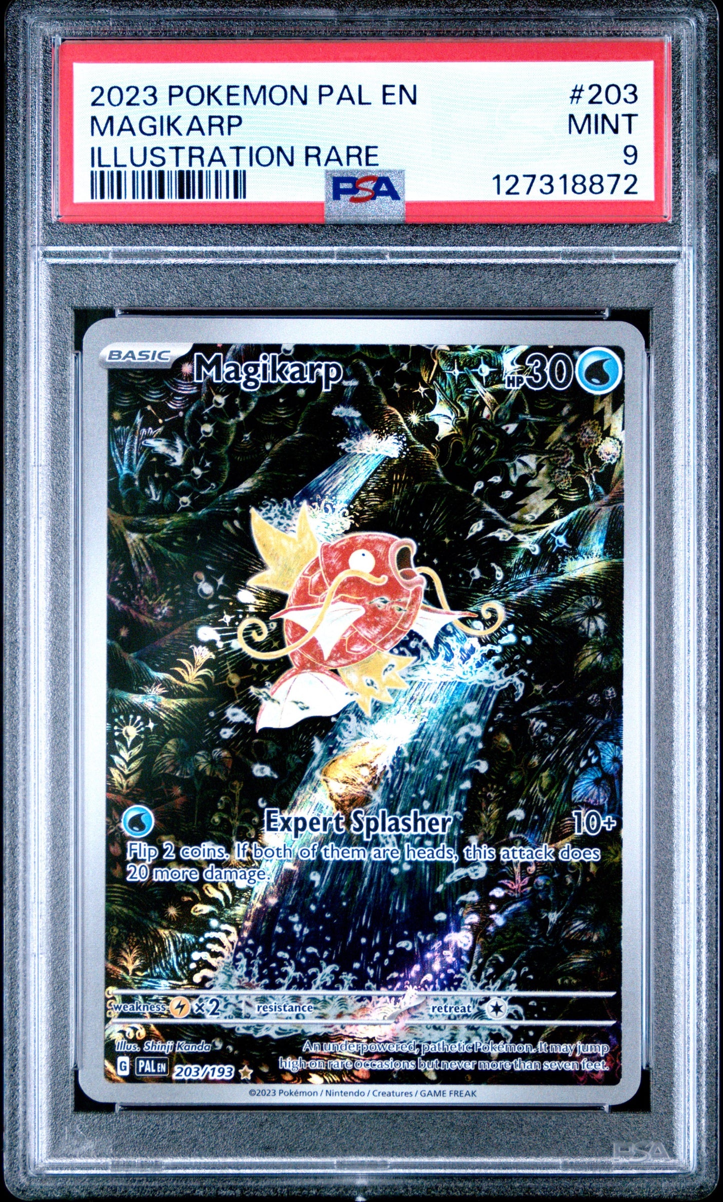 2023 POKEMON PAL EN-PALDEA EVOLVED #203 MAGIKARP ILLUSTRATION RARE