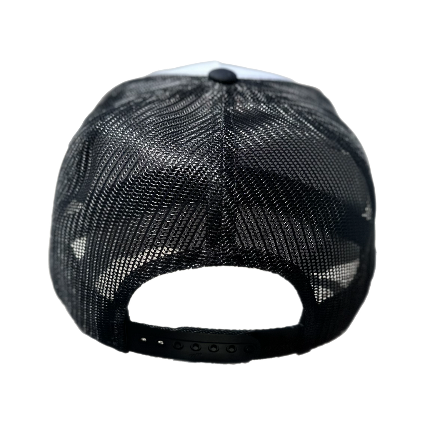 PTJ SnapBack Hat